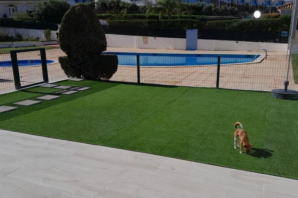 Villa Gale Premium House - Pet Friendly Albufeira Exterior foto